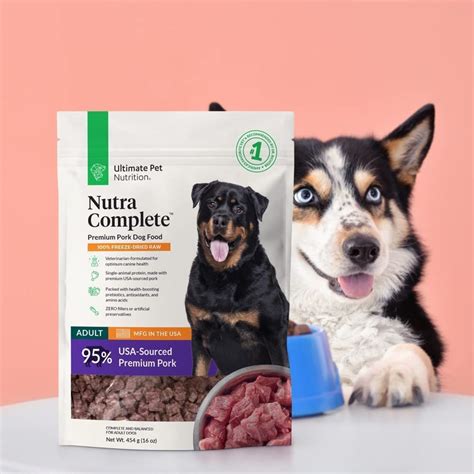 13 Best Freeze-Dried Dog Food to Chow Down On!