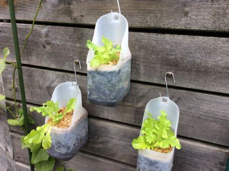 Milk bottle planters | Plastic bottle planter, Milk bottle craft, Bottle garden