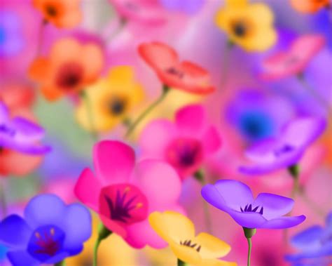 Colorful Flowers Desktop Backgrounds Wallpapers | Colorful Background Wallpapers