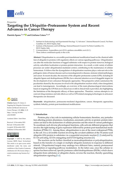 (PDF) Targeting the Ubiquitin–Proteasome System and Recent Advances in Cancer Therapy