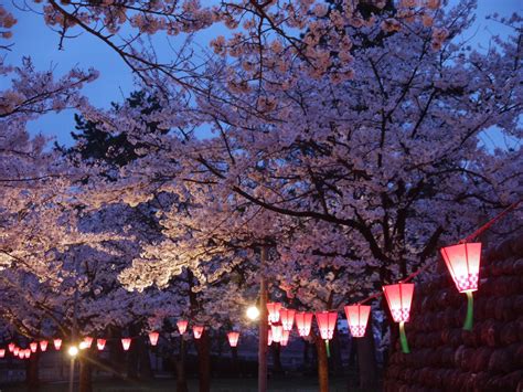 Japan landscapes | Japan landscape, Japanese cherry blossom, Artwork ...