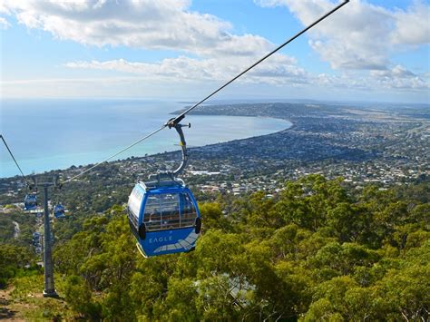 The Arthurs Seat Eagle & The Walking Trails of Arthurs Seat State Park - The Bushwalking Blog ...