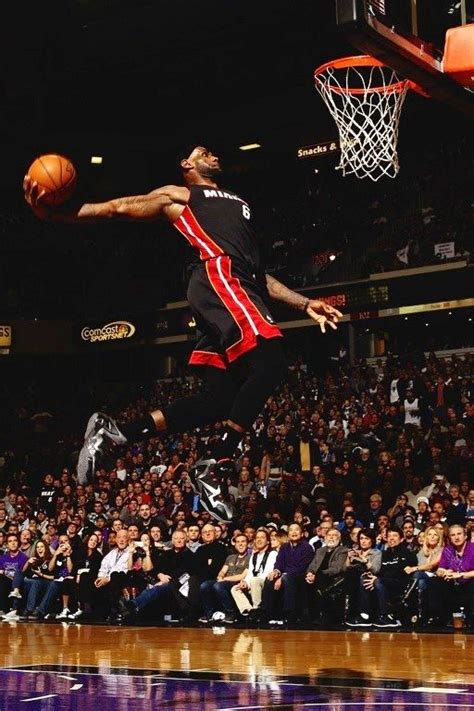 Lebron James Signature Dunk