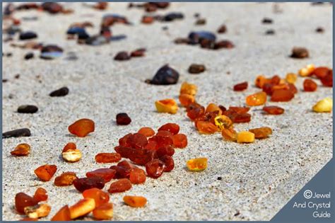 Baltic Amber: True Amber Or Not? | Jewel And Crystal Guide