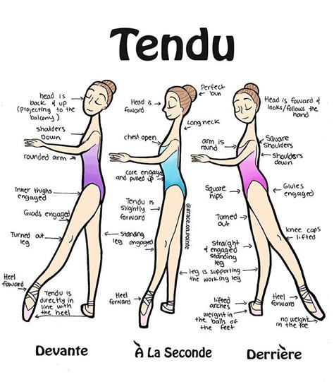 Tendu | Dance Wiki | Fandom