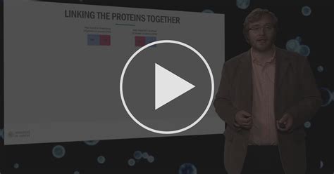 How to design your fusion protein - Putting proteins to work for us ...