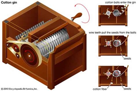 Cotton Gin Invention (The Complete History) - Science4Fun