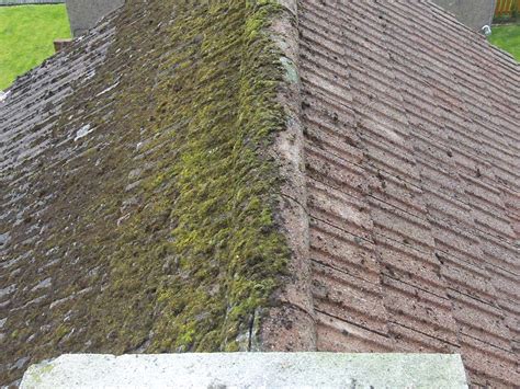 Roof Moss removal – Property cleaning & maintenance