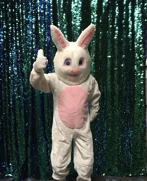 Easter Bunny Costume Rental San Francisco California Bay Area