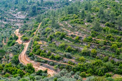 Palestine: Land of Olives and Vines – Cultural Landscape of Southern Jerusalem, Battir - AYERS ...