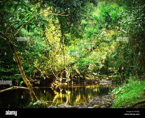 Water fall of Khao Yai National Park Stock Photo - Alamy