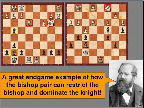 World Champions and their best endgames | ChessBase