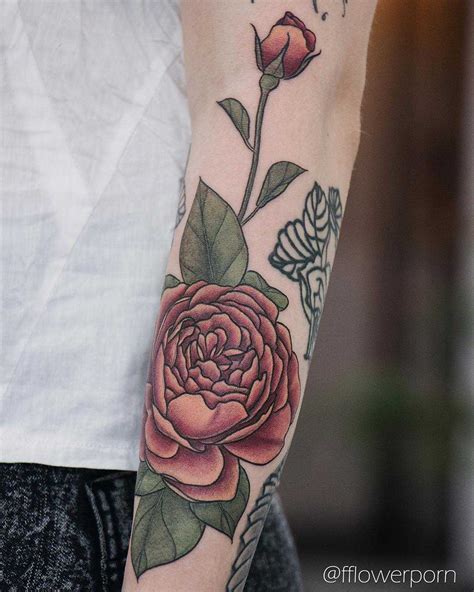 Peachy english rose tattoo - Tattoogrid.net