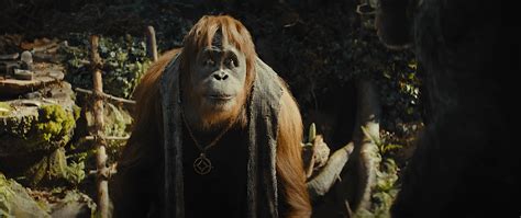 Kingdome of the Planet of the Apes Teaser Analysis : r/PlanetOfTheApes