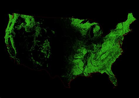 Geographer creates stunning map of U.S. forests - Earth.com