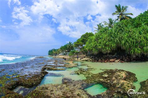 Thalpe Beach in Galle: Top Activities and Tips - 360view.lk