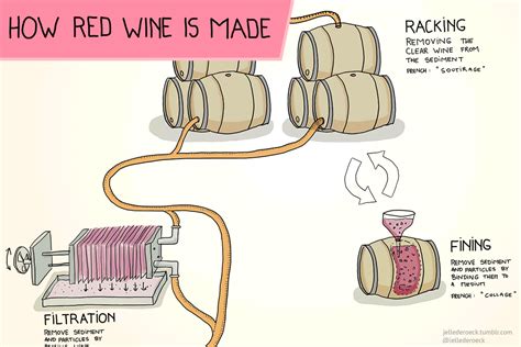 How is Red Wine Made? | Wine Folly