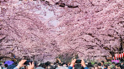 上野公園でしかできない11のこと