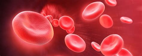 Myelofibrosis Diagnosis Quiz - How well do you know myelofibrosis diagnosis?