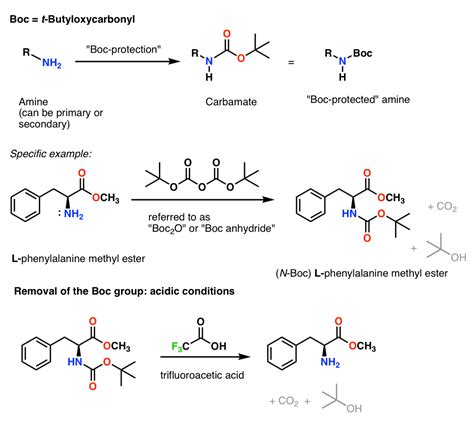 Protecting Groups for Amines: Carbamates – Master Organic Chemistry