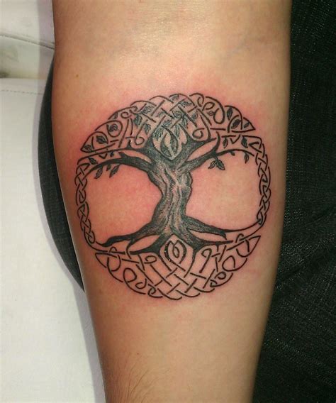 Pin by Alexandra Grey on Tattoo - Tree of Life | Tree of life tattoo, Celtic tree tattoos ...