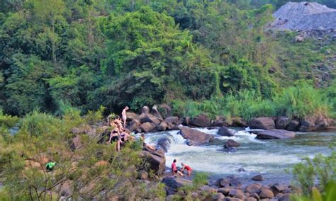 Tea Plantation Tour in Sri Lanka | Tea Trails Holiday Ceylon