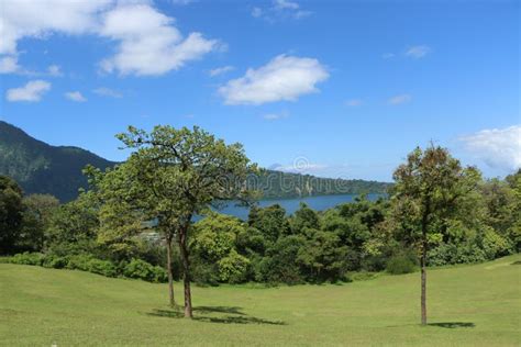 Botanical Garden Bedugul Bali Indonesia Stock Photo - Image of bedugul ...