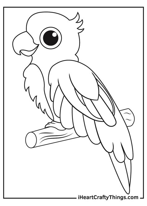 Parrots Coloring Pages in 2023 | Bird coloring pages, Coloring pages ...