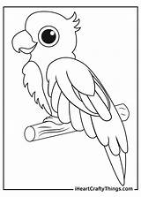 Parrots Coloring Pages In 2023  Bird coloring sketch template