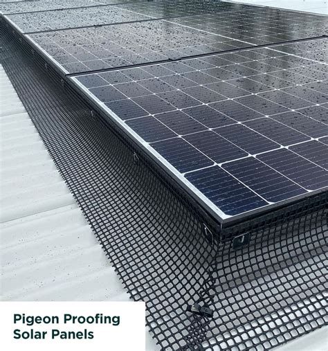 Bird Proofing Solar Panels & Pigeon Protection in Brisbane