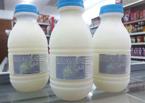 Susu Kambing - Susu Penuh Khasiat Untuk Keluarga | AzZainMart