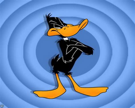 Daffy Duck wallpaper Wallpapers - HD Wallpapers 7876