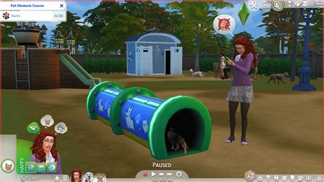 The Sims 4 Cats & Dogs: Pet Training Skill Guide