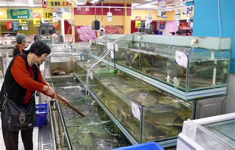 China Tesco fish counter | Guangzhou, China: fish counter Te… | Flickr