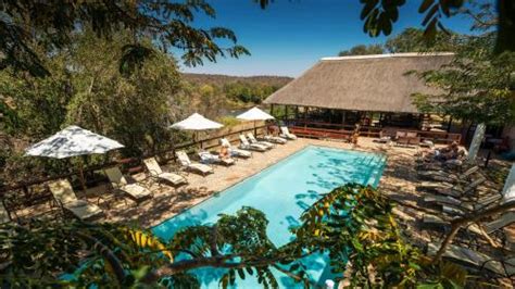 Nyati Safari Lodge, Balule Game Reserve (updated prices 2024)