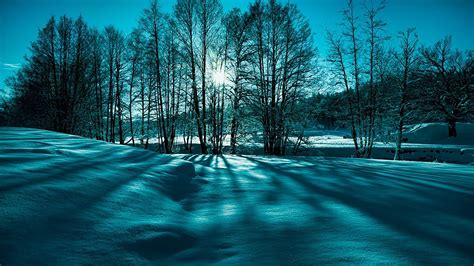 Fantastic Winter Scenery wallpaper | 1920x1080 | #27068