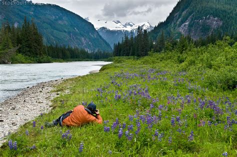 Photographer and Flowers, Stikine River, Alaska - Betty Sederquist ...