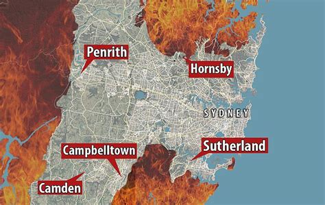 NSW bushfires: Tell tale signs on how to spot an arsonist | Daily Mail Online