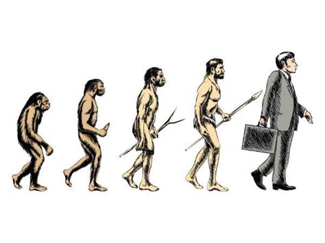 Human Evolution: From Monkey to Man in 4 Stages - TV Health