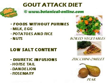 Plant-based diet for gout – Botanical online