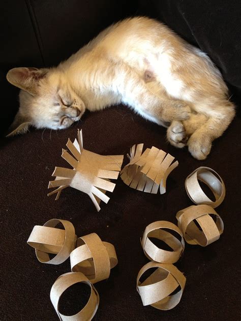 Cat toys made from toilet paper rolls. | Diy pet toys, Homemade cat ...