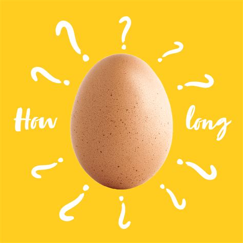 How Long Do Fresh Eggs Last? | Glad®