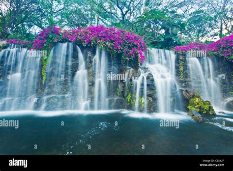 Beautiful Blue Waterfall in Hawaii Stock Photo - Alamy