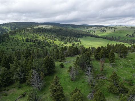 1,160 acres in Park County, Montana