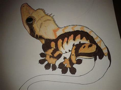 Crested Gecko Tricolor by HypnoticPropaganda on DeviantArt