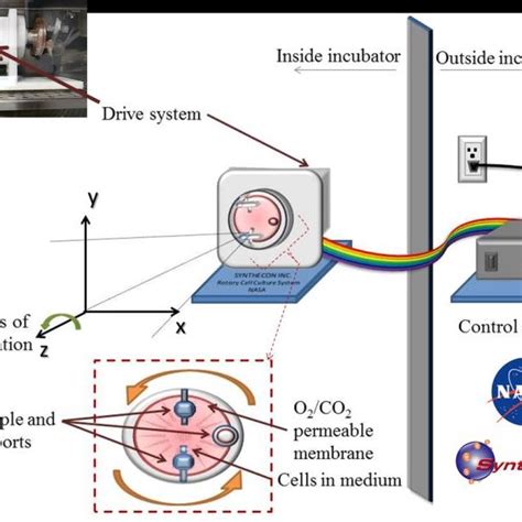 Simulation of microgravity inside a cell culture incubator using the... | Download Scientific ...