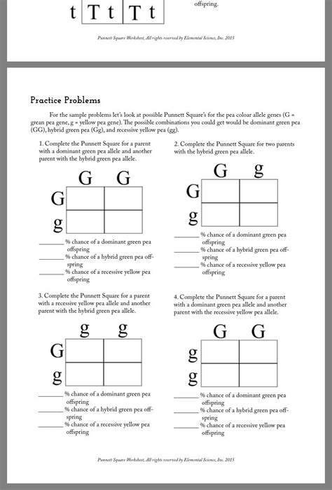 Pin on School | Biology worksheet, Punnett squares, Practices worksheets