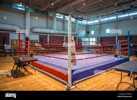 boxing ring arena in gym before action Stock Photo - Alamy