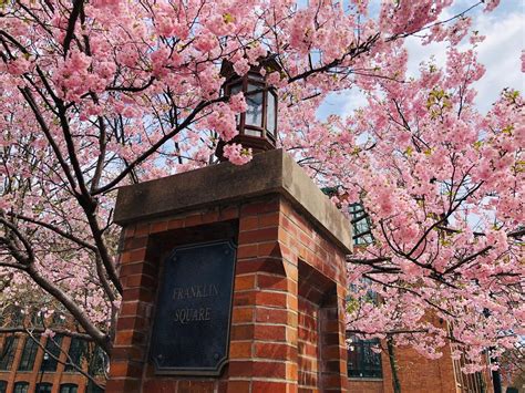 Franklin Square Park – City of Syracuse