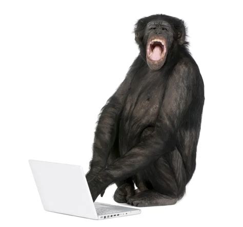 Monkey playing with a laptop — Stock Photo © lifeonwhite #10879990